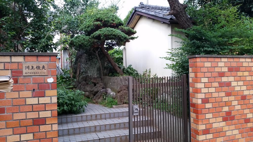 "Cherry House" Is Direct To Narita,Haneda Ap, Disney, Asakusa, Skytree Tower, Tokyo Matsudo Eksteriør bilde