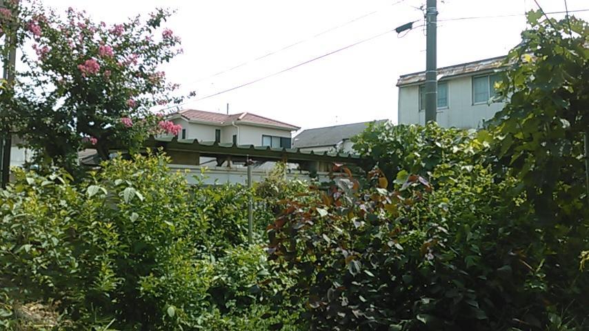 "Cherry House" Is Direct To Narita,Haneda Ap, Disney, Asakusa, Skytree Tower, Tokyo Matsudo Eksteriør bilde